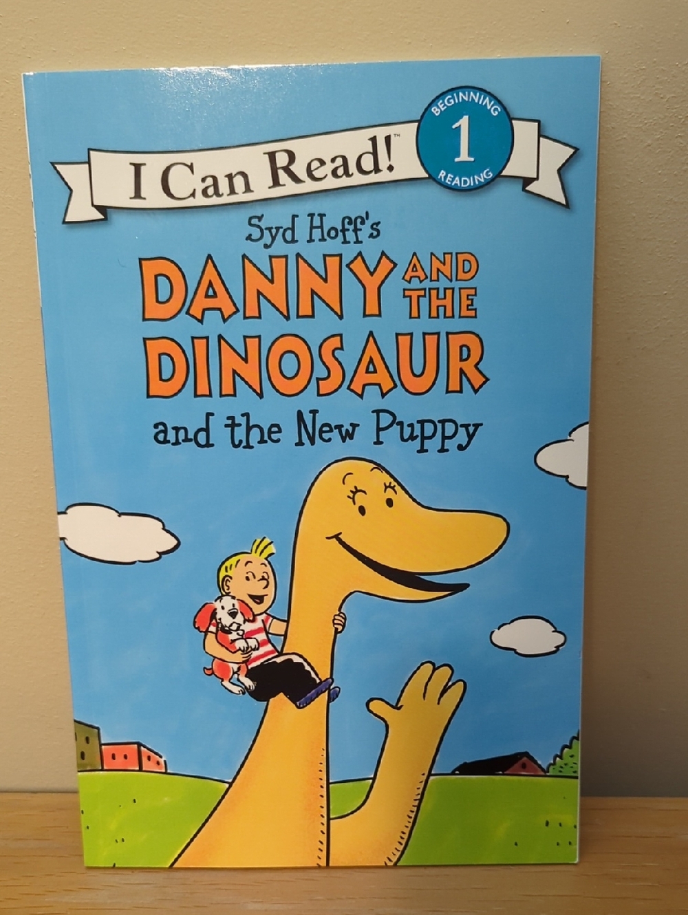 5 ⭐️ for $25 "Danny and the Dinosaur" Kids Book